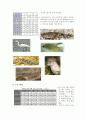 전주천 자연형하천 복원사례 7페이지