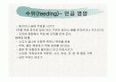 정상신생아관리 22페이지