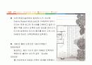 Philip Johnson과 근현대건축 3페이지