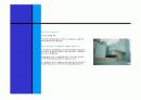 Peter Eisenman과 근현대건축 7페이지