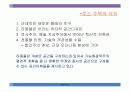 아돌프 로스와 근대건축 32페이지