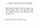 양심적 병역거부 3페이지