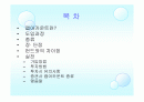 랩어카운트 2페이지