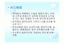 랩어카운트 8페이지