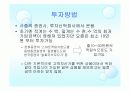 랩어카운트 14페이지
