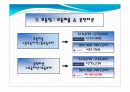 경영분석 재무비율분석 아모레퍼시픽 vs LG생활건강 18페이지