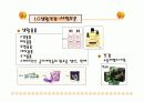 아모레퍼시픽 vs LG생활건강 재무비율분석 11페이지