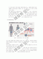 신종플루 완벽정리 (정의, 원인, 증상, 예방법, 치료법) 및 나의 견해 4페이지