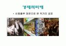신종인플루엔자에 대한 발표파워포인트 자료 11페이지