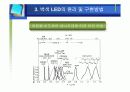 차세대 광원으로서 백색 LED 기술 15페이지