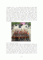 서남해안 도서지역과 해양자원의 개발을 위한 관광이벤트 기획 14페이지