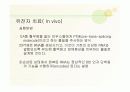 혈우병ppt 23페이지