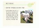 혈우병ppt 34페이지