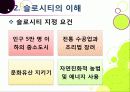 [슬로우시티]슬로우시티(slow city) 운동의 발생 배경 및 목적과 의미 고찰, 국내외 슬로시티 운영 현황과 슬로시티 운동의 중요성 및 발전방향 13페이지