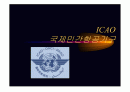 icao 조사 1페이지