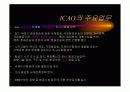 icao 조사 7페이지