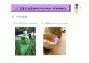 음료의 분류 (조주관리론),사진첨부, 7페이지
