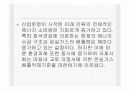 스마트그리드 내용 3페이지