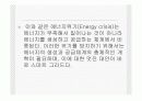 스마트그리드 내용 4페이지