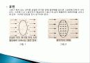 세라믹[Fine Ceramics] 50페이지