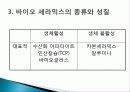 세라믹[Fine Ceramics] 79페이지