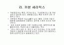 바이오세라믹스 11페이지