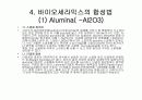 바이오세라믹스 13페이지