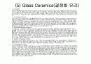 바이오세라믹스 17페이지