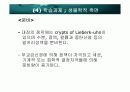 인공항문 14페이지