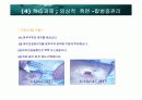 인공항문 46페이지