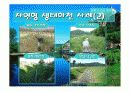 자연형_생태하천.ppt (파워포인트 자료) 8페이지