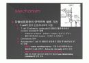 다발성 경화증  9페이지