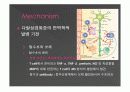 다발성 경화증  11페이지