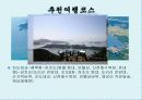 진도신비의바닷길축제 5페이지