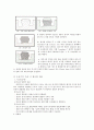 토기의손상 4페이지
