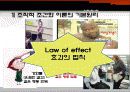 [조직행동론] 지각(Perception), 귀인(Attribution), 학습(Learning) 46페이지