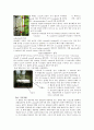 β-Galactosidase purification & activity & SDS PAGE 18페이지