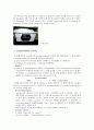 β-Galactosidase purification & activity & SDS PAGE 20페이지
