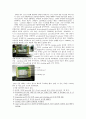 cell culture및 virus infection에 관한 실험 21페이지