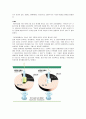 안락사의 찬반 논쟁 12페이지