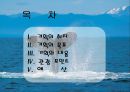 여행사기획서(사대문관광) 2페이지