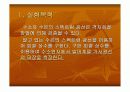  [의물실험] 발머계열 3페이지