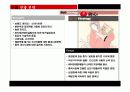 신라면 국제마케팅 분석 28페이지