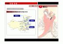 신라면 국제마케팅 분석 29페이지