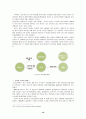 로또마케팅 20페이지