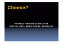 치즈 속 미생물. 4페이지