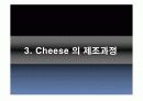 치즈 속 미생물. 8페이지