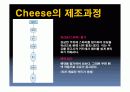 치즈 속 미생물. 9페이지