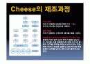 치즈 속 미생물. 10페이지