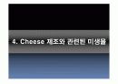 치즈 속 미생물. 11페이지